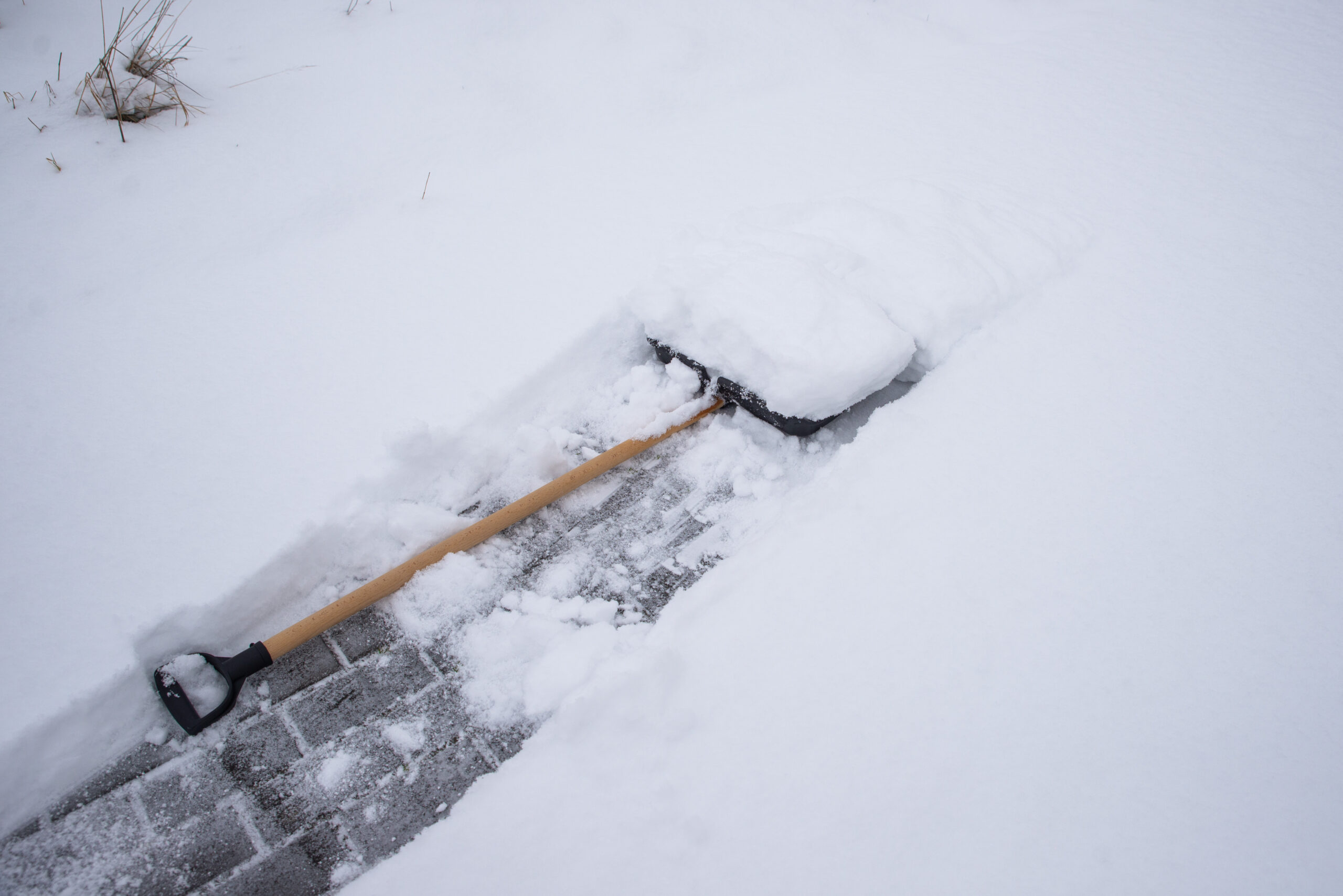 clearing snow from the sidewalk